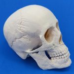 A impressão 3D na área médica